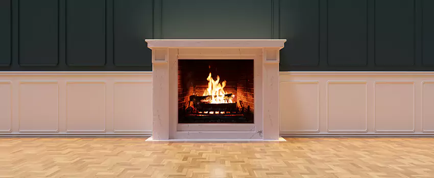 Napoleon Electric Fireplaces Inspection Service in Oak Ridge, Florida