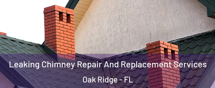  Leaking Chimney Repair And Replacement Services Oak Ridge - FL