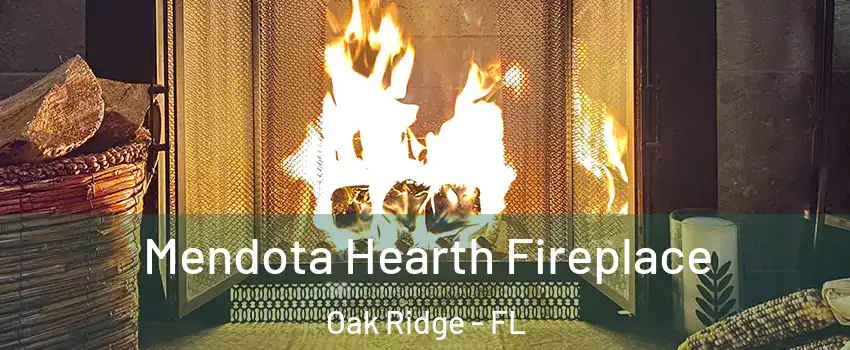  Mendota Hearth Fireplace Oak Ridge - FL