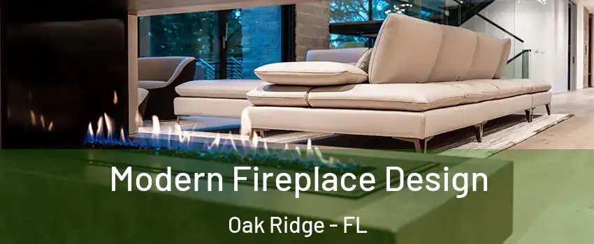  Modern Fireplace Design Oak Ridge - FL