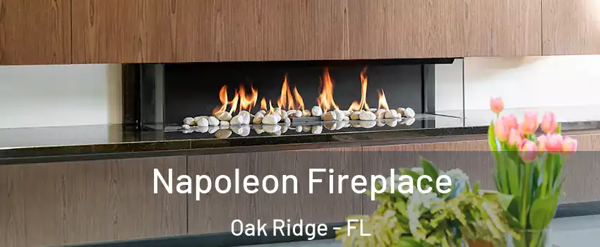  Napoleon Fireplace Oak Ridge - FL