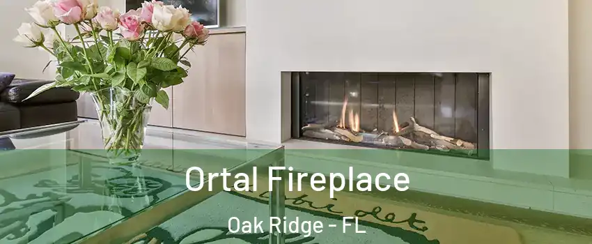  Ortal Fireplace Oak Ridge - FL