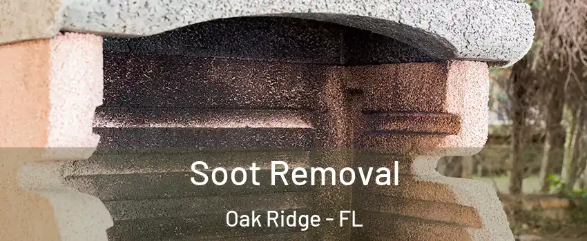  Soot Removal Oak Ridge - FL