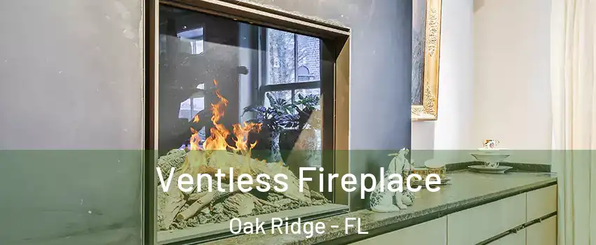  Ventless Fireplace Oak Ridge - FL