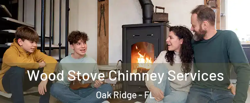  Wood Stove Chimney Services Oak Ridge - FL